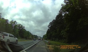 Loose Kangaroo Causes Chaos On Alabama Interstate