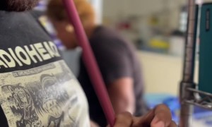 Undercover Toilet Brush