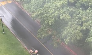 University Student Surfs Road Wave