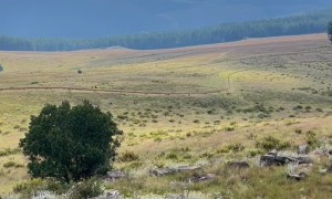 Riding the Long Tom Toboggan in Misty Mountain