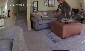 Wally Full Sends Over the Couch