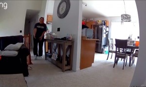 Dog Sitter Crop Dusts Dog