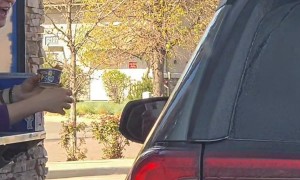 One Bite Pupcup: Don't Mind if I Do