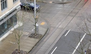 Car In No Hurry Blocks Public Train From Moving