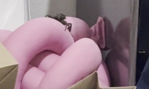 Giant Water Bug Seen Crawling In Home