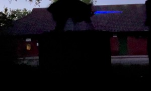 May the 4th Be With You!