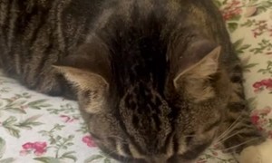 I Think She Liked It