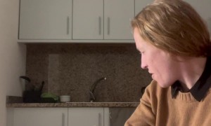 Cat Jumps Into Kitchen Table