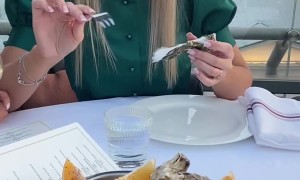 Raw Oyster Tasting Fail