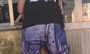 Dog Surprised While Looking Through Window