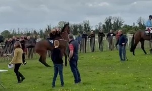 Racehorse Spins Jockey Around