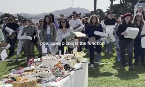 Everyone Brings Cakes to the Cake Picnic