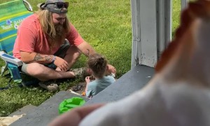 Horse Toy Has Male Anatomy