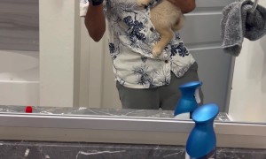 Golden Retriever Grows Up Fast In Selfie Series