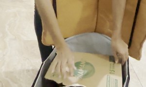 Cat Finally Accepts Playhouse, But Only With Box