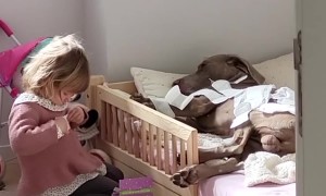 Toddler Having Fun With Pads