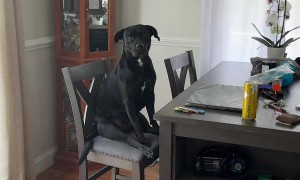 Waiting Nicely for a Sub