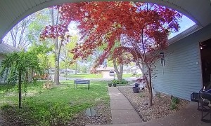 Missed the Step by a Millisecond