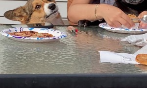 Bradley is Mad It's Not His Birthday