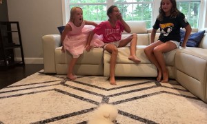 Sisters Surprised by New Puppy