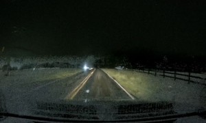 Headlights Conceal Fallen Branch