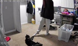 Cat Didn’t Want to Play Footsie