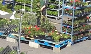 Whirlwind Hits Hardware Store