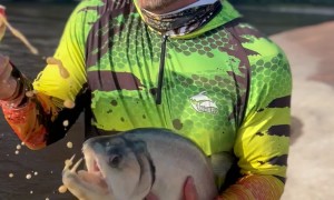 Fanged Fish Bites Into Soda Can