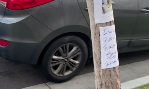 Neighbor Publicly Shames Poopy Dog Owner
