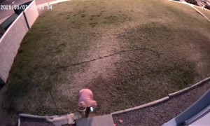 Evicted Roommate Throws Rocks at Locked Door