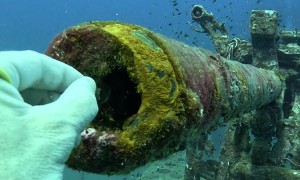 Cannon Fish Refuses Offering