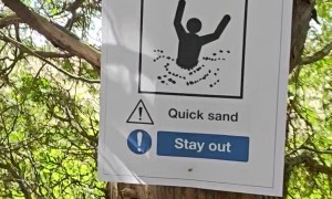 Quicksand Warning Spotted On Tree