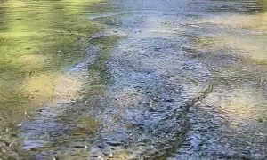 The Sound of a Good Rock Skip