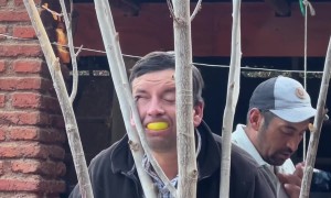 "Eye" Did Not See That Coming