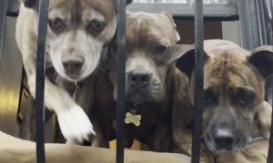 What Mom Comes Home to After Yoga