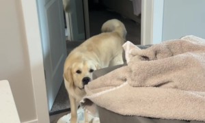 Nash Does the Opposite