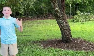 Loud Crack As Son Whips Tree