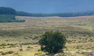 Long Tom Toboggan Ride