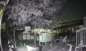 Woman Faceplants As Shorts Get Caught on Fence