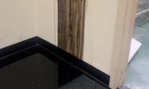 Black Water Leaks From Drinking Fountain