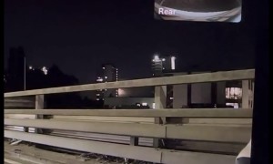 Stray Cat Who Tumbles Onto Chiswick Flyover From Underneath Car Is Rescued