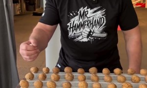 Mr. Hammerhand Sets Walnut Breaking World Record