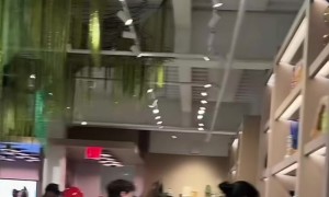 Opinion on Luxury Dispensaries