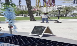 Dog on Wheels With Wings