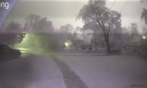 Tree Breaks During Storm in Kalamazoo