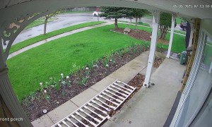 Security Camera Captures Deer Running Into House
