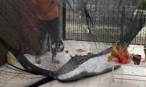 Never-Before-Seen Hailstorm Pummels Chivilcoy