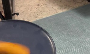 Spinning Corndog