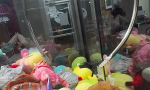 Claw Machine Game Doesn't Let Go