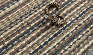 Cat Reacts to Snake That Got Inside